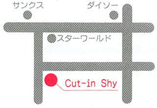 cut-in Shy地図